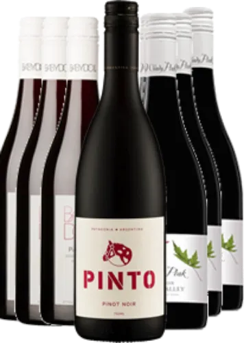 Picture for category Pinot Noir Case