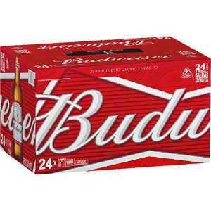 Picture of Burleigh Sublime Mexican Lager 330ml