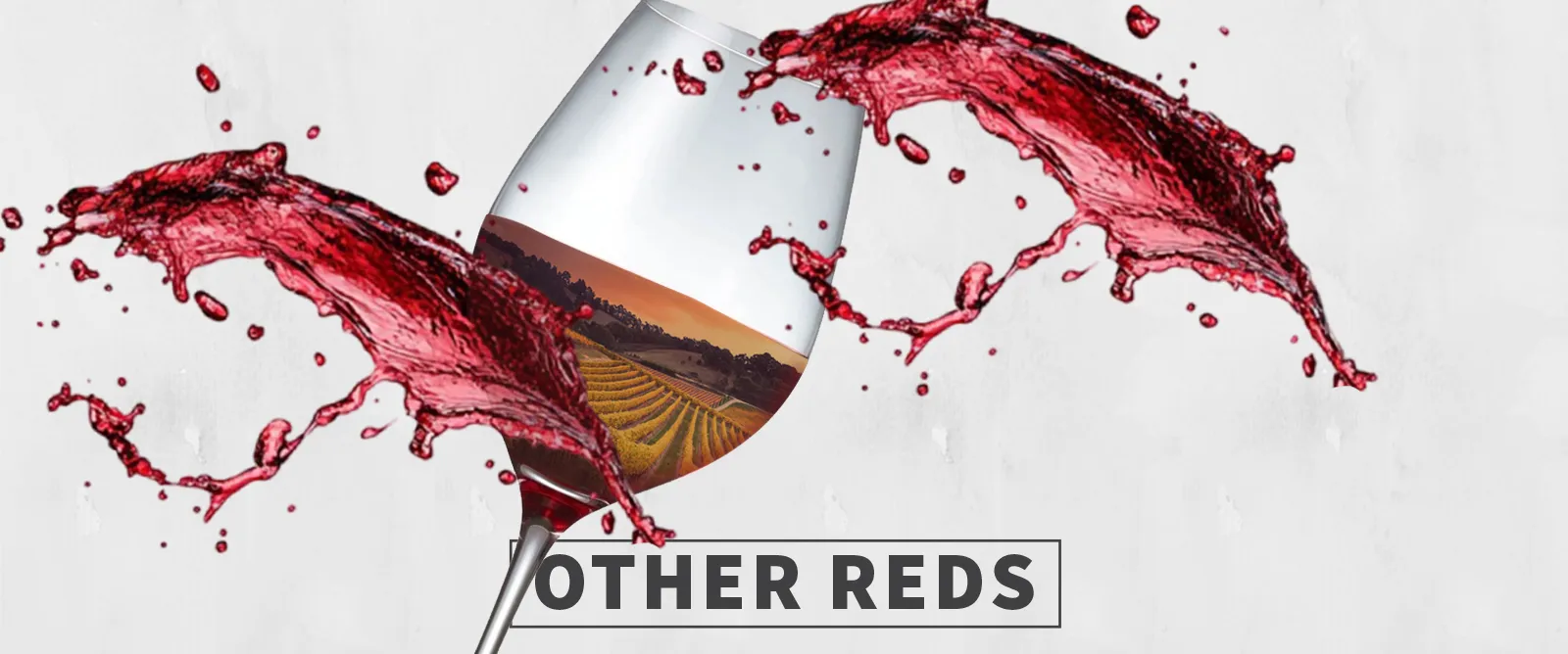 Picture for category Other Reds