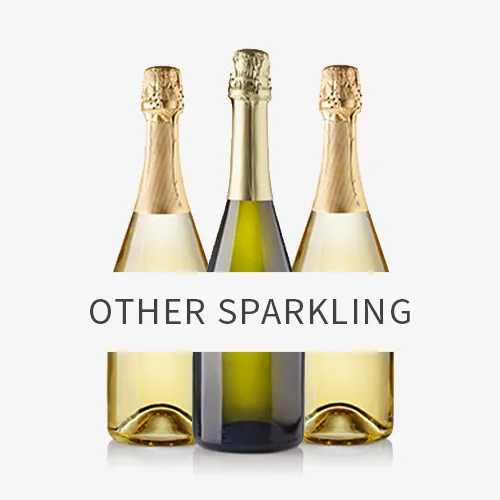 Picture for category Other Sparkling