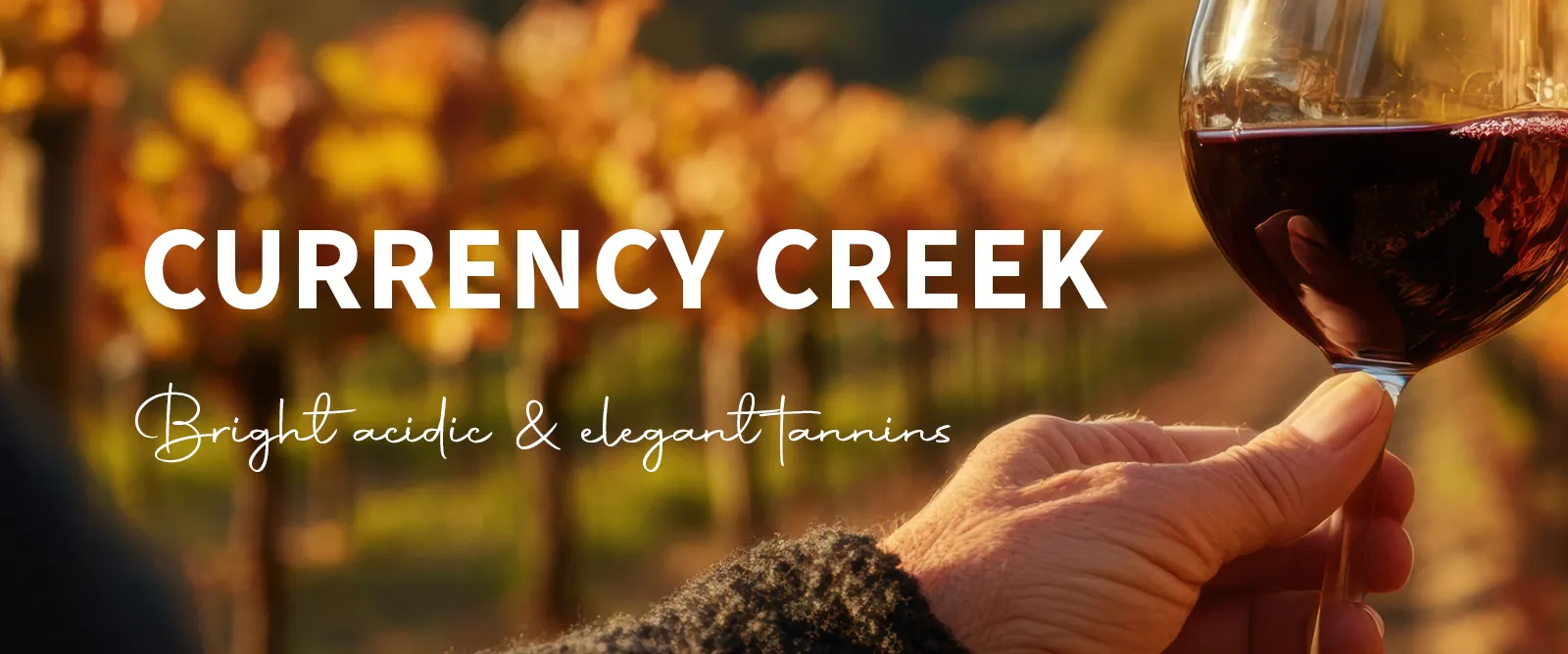 Picture for category Currency Creek