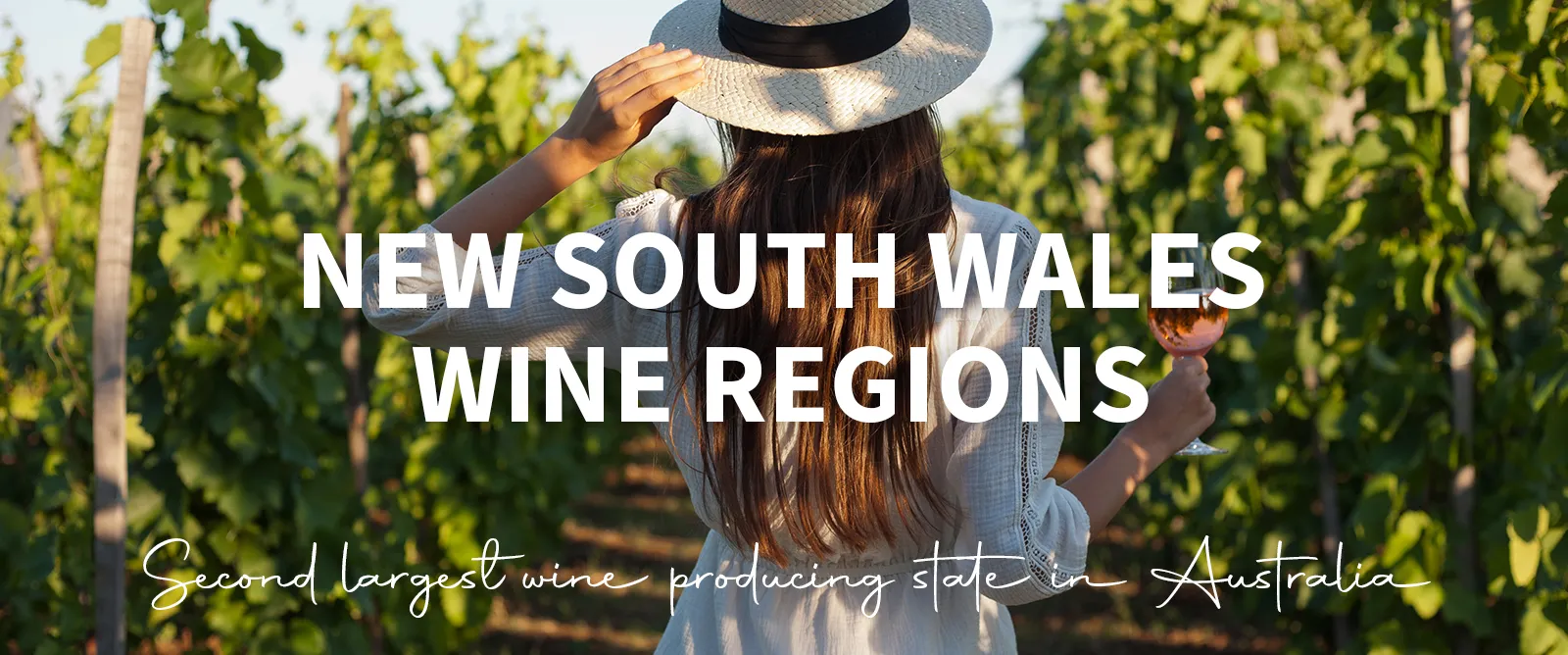 Picture for category NSW Wine Regions