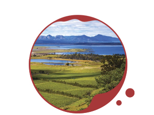  Tasmania icon