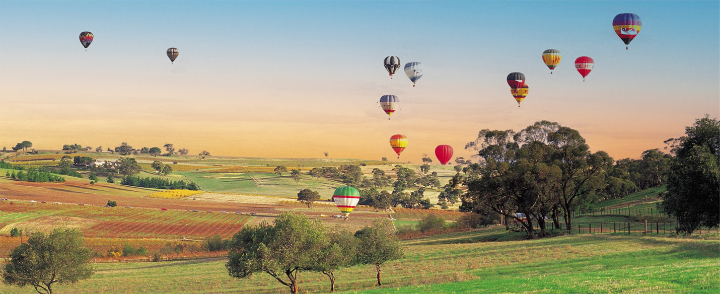 Hot Air Balloons over Barossa Valley