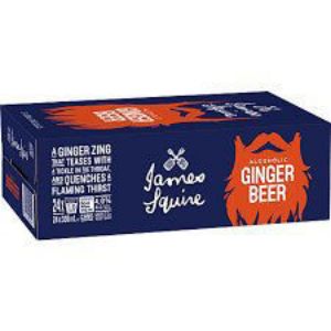 Picture of J/Squire Ginger Beer Can 330ml